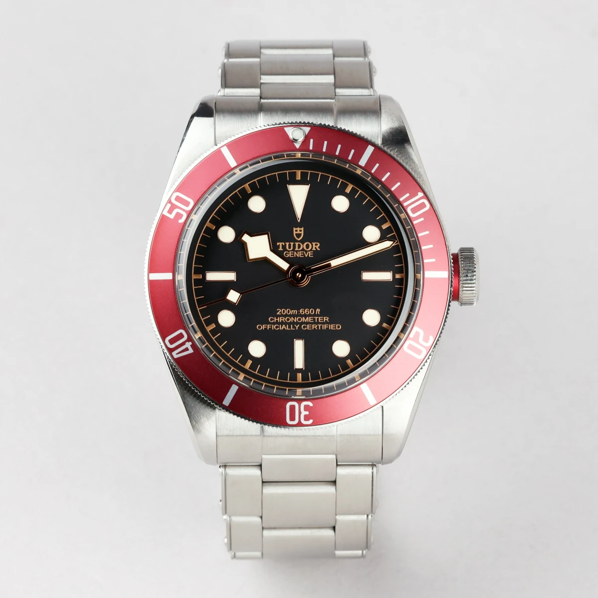 Tudor Black Bay  (79230R)