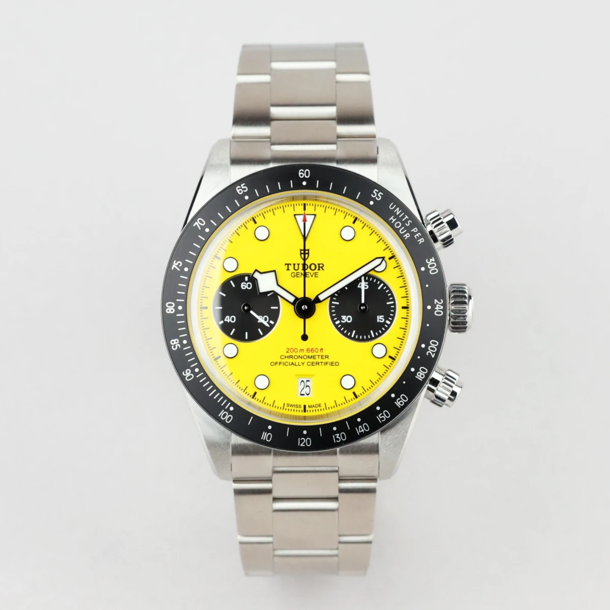 Tudor Black Bay  (79310N)